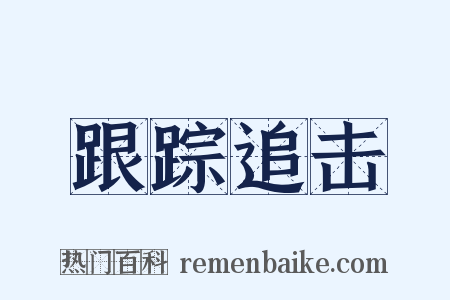 跟踪追击是什么意思的图片